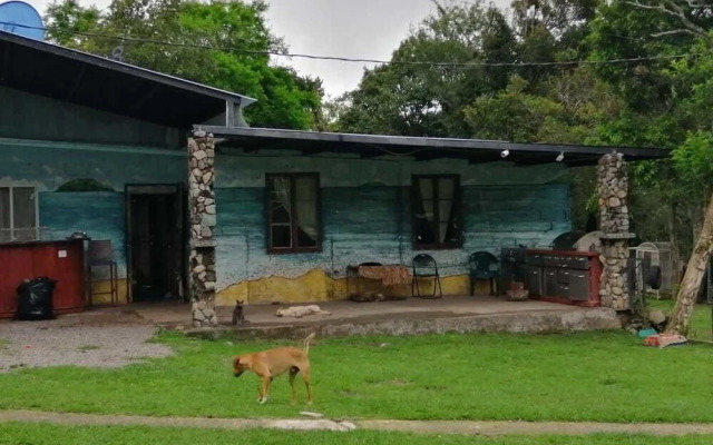 Jungla de Panama