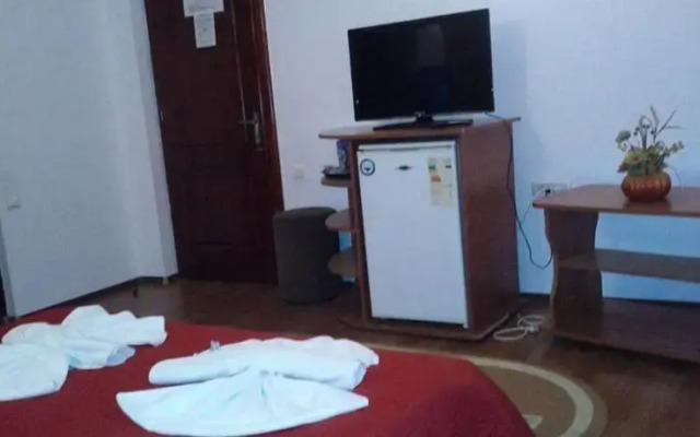 Pensiunea Europa Olanesti