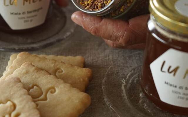 Albero Capovolto Country & Sea