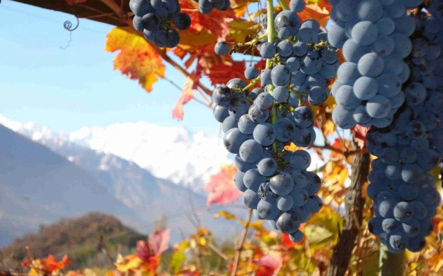 Pensione Ristorante Selva