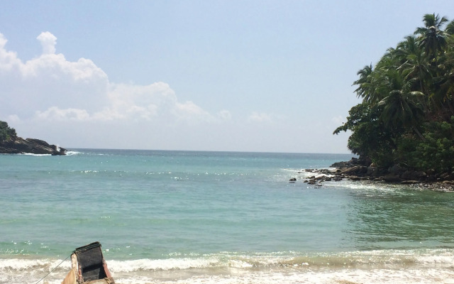 Nest Residence - Hostel