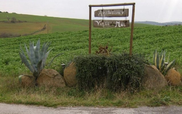 Agriturismo Vigna Mai