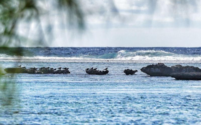 EDEN - Private Island - TAHA'A