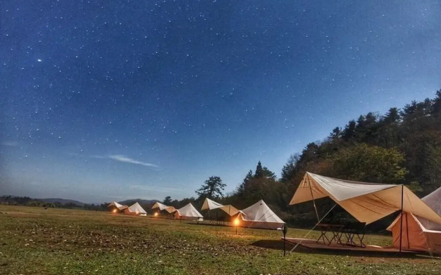 Wondertrunk Experience Kamaishi - Glamping