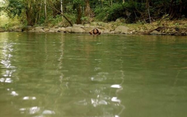 A Peace of Paradise St. Lucia