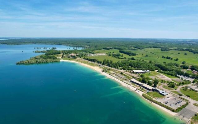Le Chat De La Cathédrale