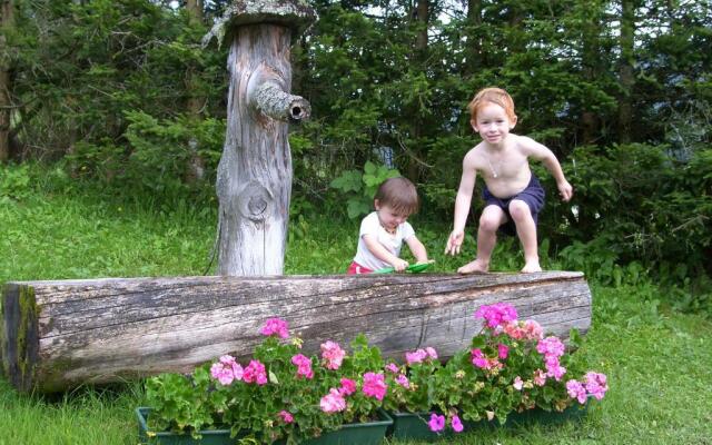 Apartment - Ferienwohnung Elisabeth