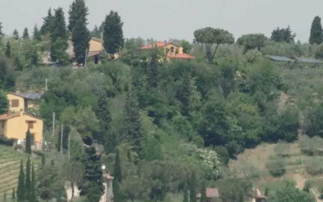 Il pollice verde
