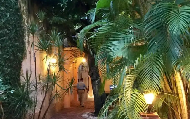 Paseo Colonial - Leo's Favorite