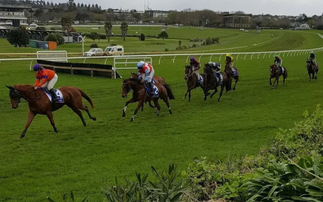Racecourse Deluxe