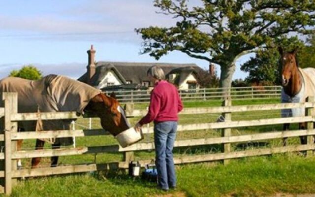 Strete Ralegh Farm - BB