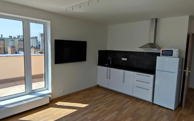 Penthouse with panoramic city view in Elite Rezidence