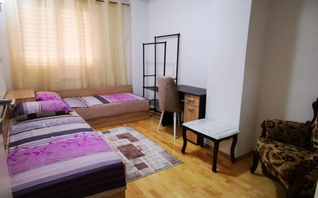 Splendid Two Bedroom Apartment Anastas Mitrev 25