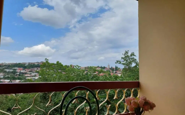 Guesthouse ''Door'' in Sighnaghi