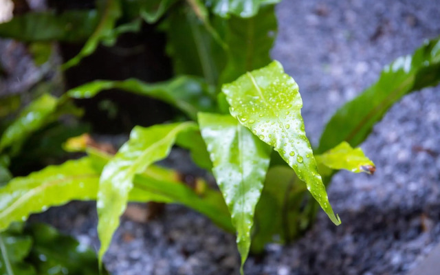 Yagaji Ansanburu - Vacation STAY 43823v