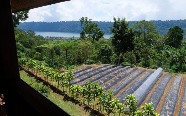 Secret Lodge Bedugul by Taritiya Collection