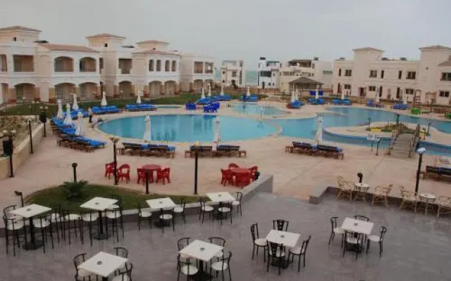 Palm Beach Safari Egypt