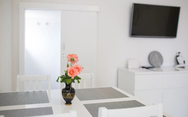 Serious Job Apartment