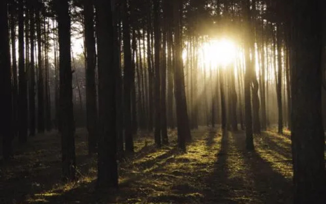 STARA WIEś RESORT & ODNOWA 9652