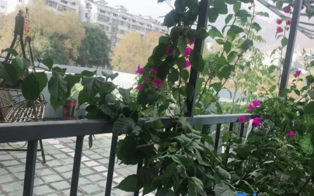 Xingshan Luoma Holiday Hotel