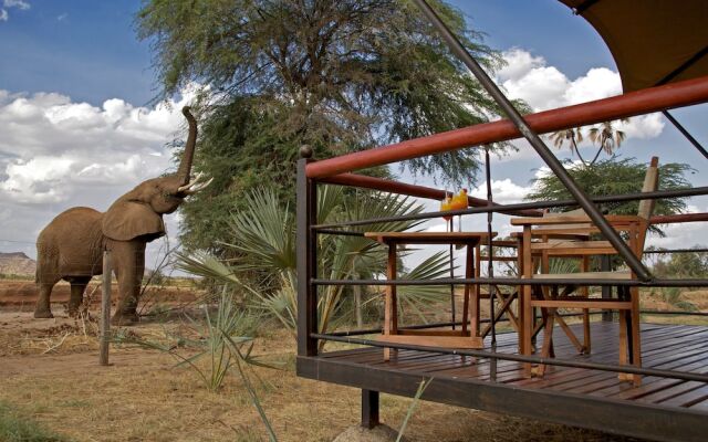 Samburu Serena Safari Lodge