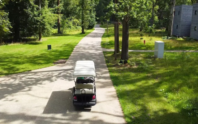 Elegant Mansion With Pools