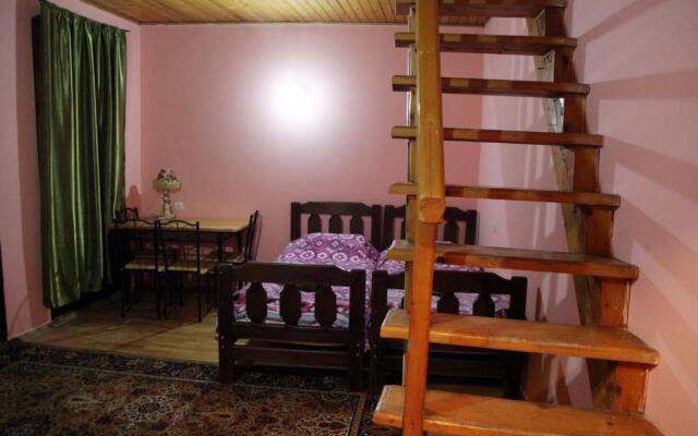 Vintage house 19 century