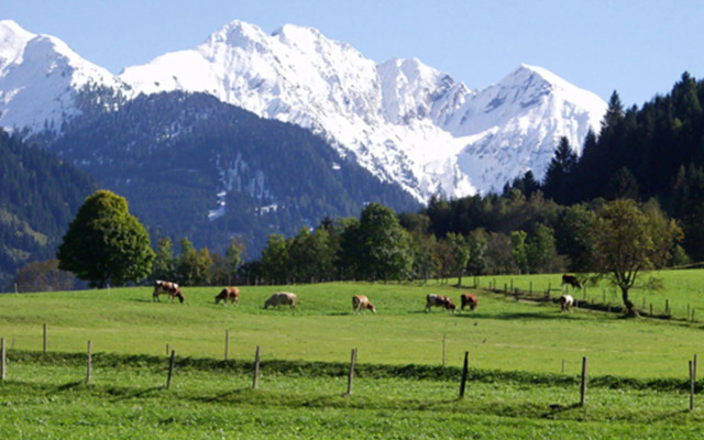 die Unterbergerin