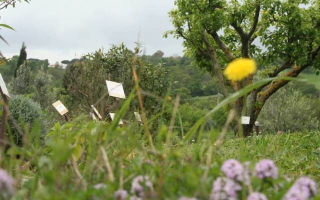 Agriturismo L'Antica Sosta