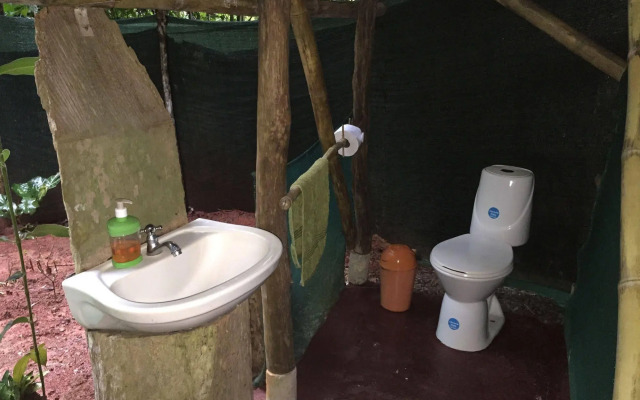 Isla Violin Eco Lodge