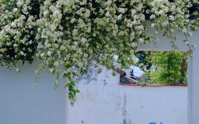 Rixie Linxi Guesthouse