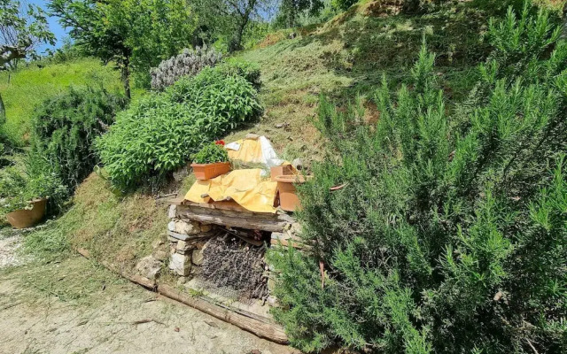 Apartment in Orbicciano With Pool