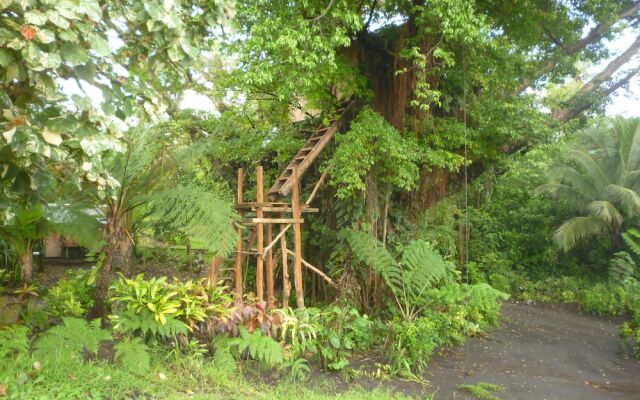 Castle Tree House