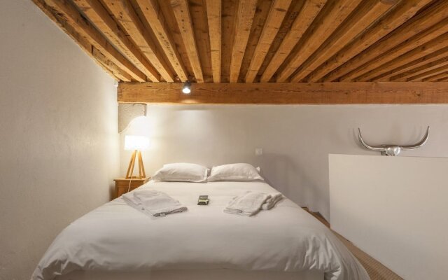 Very Comfortable Loft in Croix-rousse