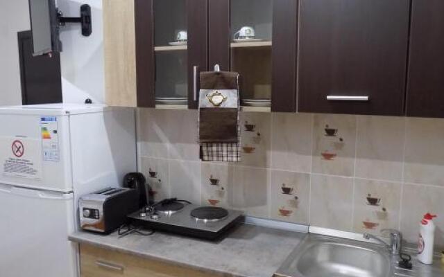 Pensiunea Red Rose Apartments