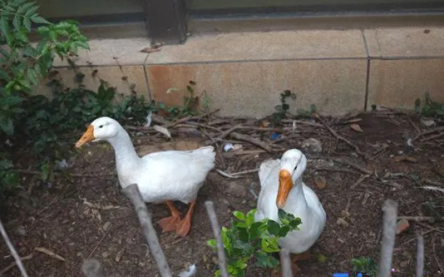 Nanchang Kaimei Hotel (bayiguangchangdian)