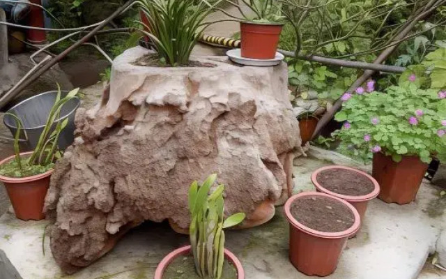 Qingchengshan Shanlishan Mijing Forest Hot Spring Guesthouse