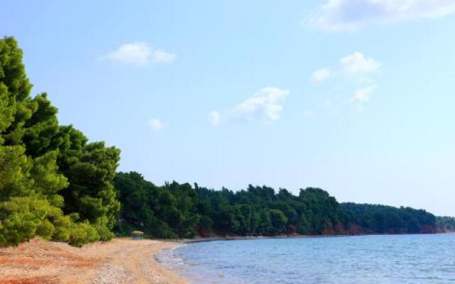 Squirrel Beach Front Villa, Metamorfosi