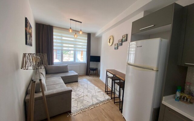 Business-friendly Residence Flat in Fikirtepe