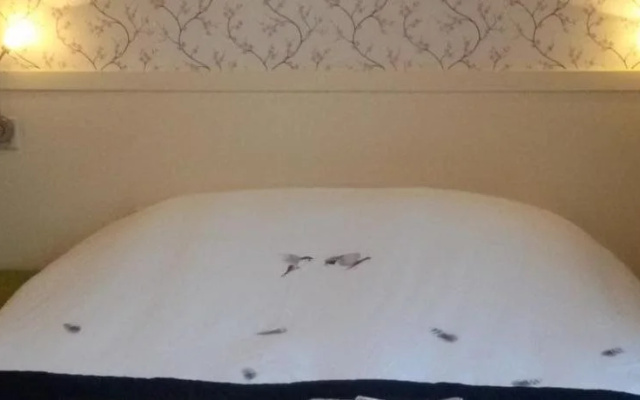 B&B De Glasparel