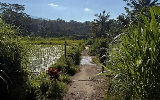 Tetebatu Valley Bungalows