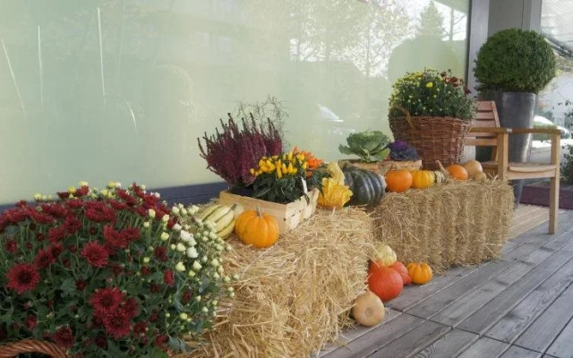 Senevita Residenz & Apartments Muri bei Bern