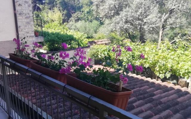 Apartments Jadranka Ivana Pula