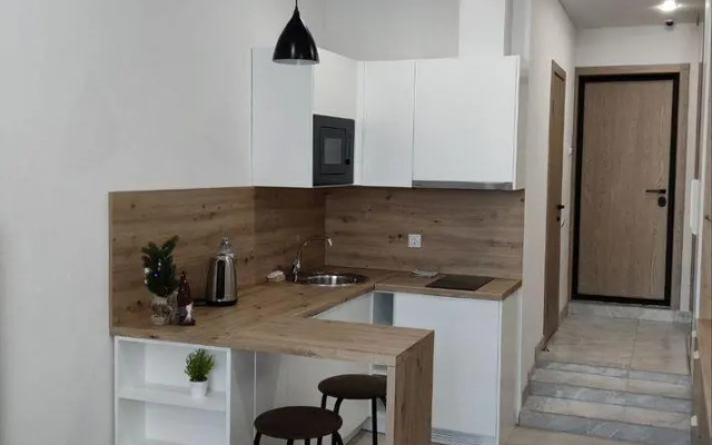 Studio apartments on 41 Tolstogo Street