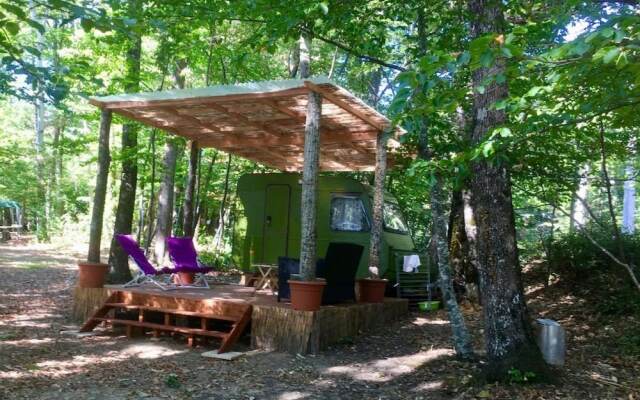 Le Grand Bois - Gite La Soierie