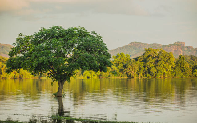 Amaya Signature Dambulla