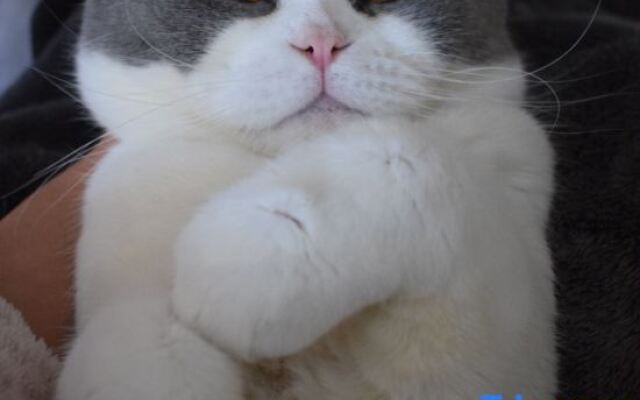 Xishuangbanna Jianye Holiday (Gasa Airport Branch)