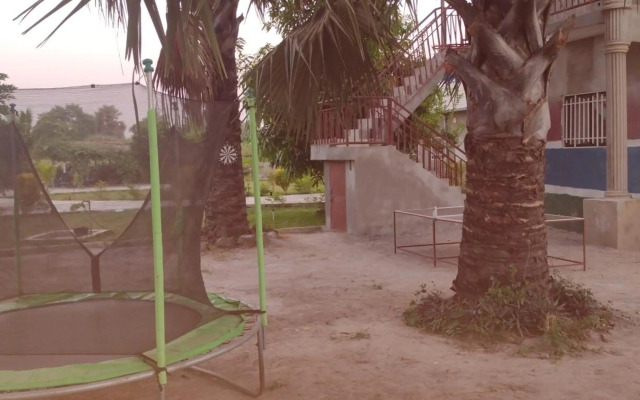 Real Owl Guest House