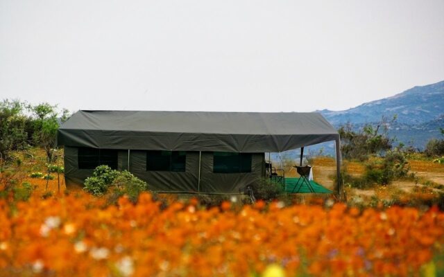 Chiefs - Namaqua Flower Camps