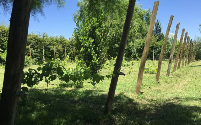Tikaykilla Lodge & Wines